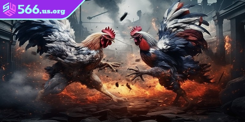 Thành viên chú ý không nên dựa vào phong thủy, nên kết hợp nhiều yếu tố