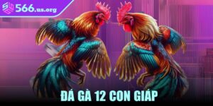 Đá Gà 12 Con Giáp
