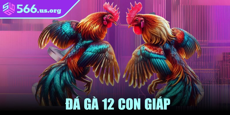 Đá Gà 12 Con Giáp