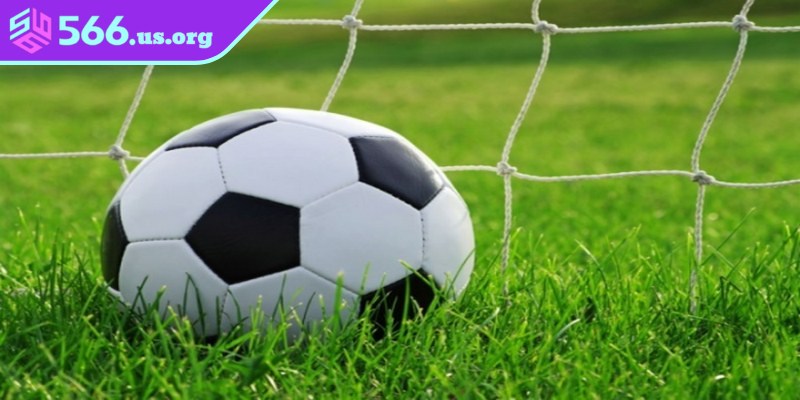 Yếu tố ảnh hưởng trực tiếp khi bắt kèo cược tài xỉu